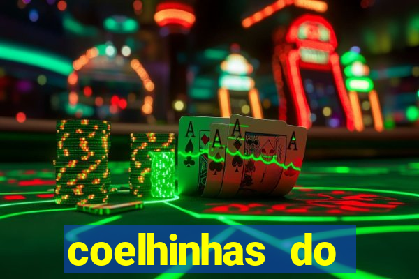 coelhinhas do brasil site